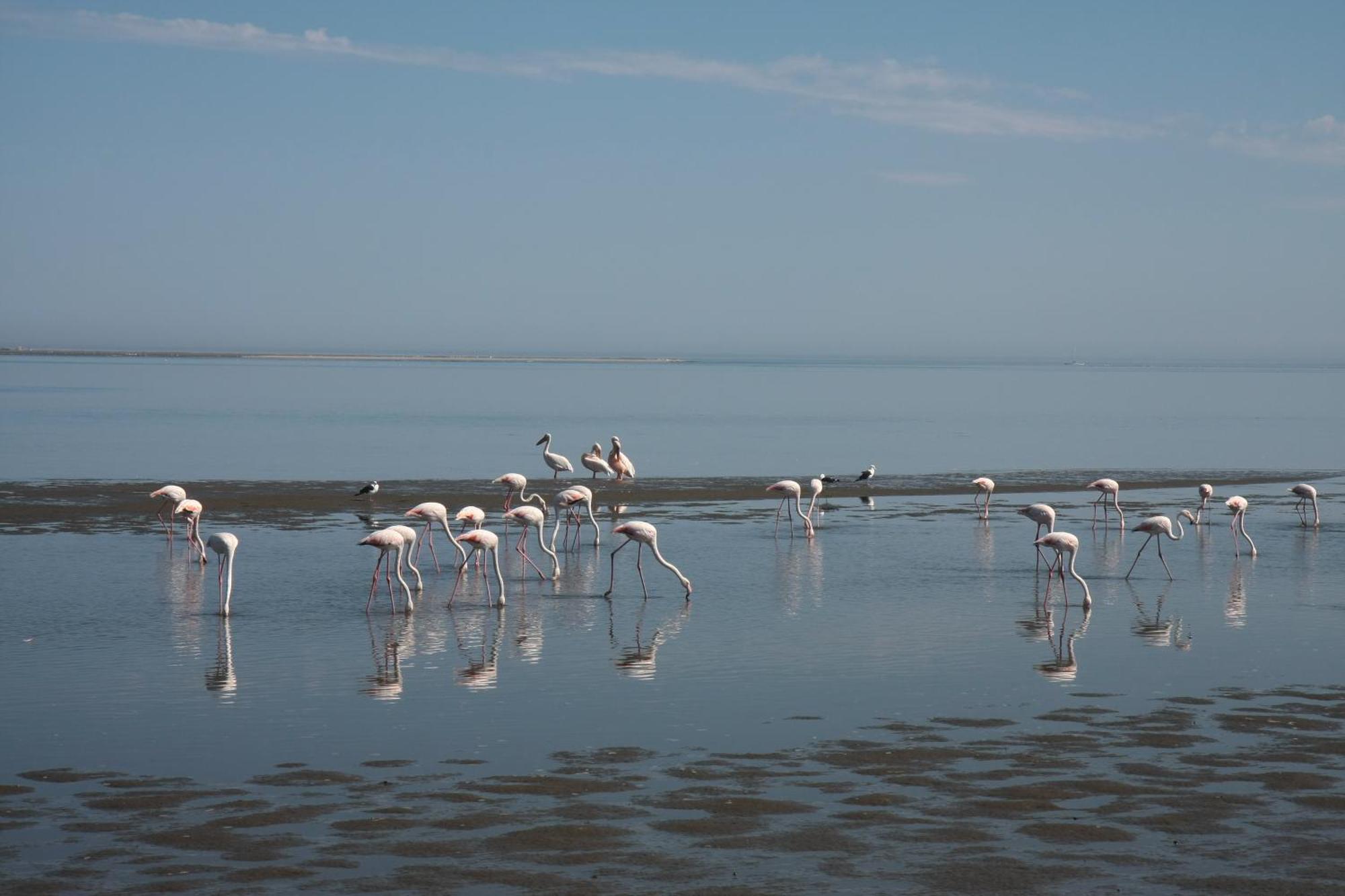 Lagoon Lodge Walvis Bay Eksteriør billede
