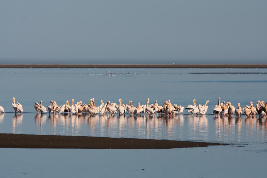 Lagoon Lodge Walvis Bay Eksteriør billede